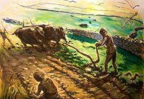 في الألفية ظهرت الزراعة ؟ ما المناطق من العالم كانوا أول من زرع الأرض ؟ 