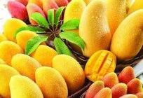 Cómo elegir el mango, para sacar el máximo provecho y gusto?