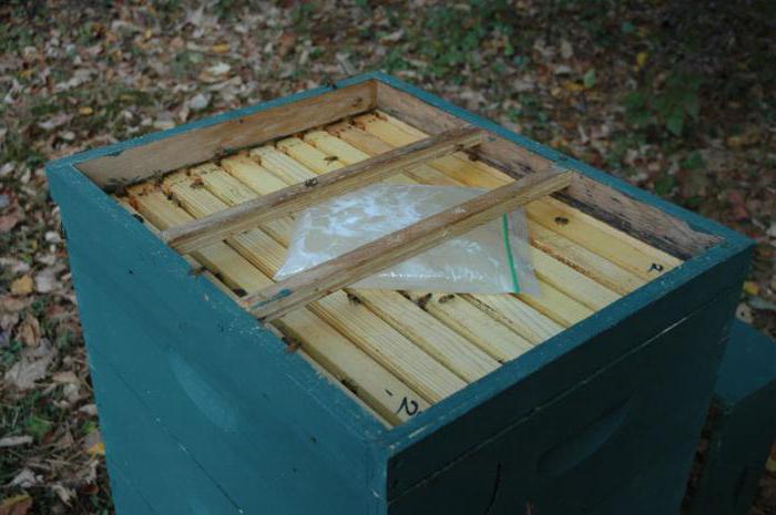 el abono de las abejas con jarabe de azúcar en el invierno, las reglas de la fertilización