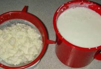 Wie man Milch Pilz von Grund auf zu Hause? Nutzen und Schaden dieses Produkts