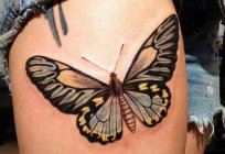 Kelebek dövme bacak kız: değer ve fotoğraf