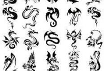 Tattoos of dragons. Value, colors, types