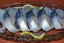 Słona makrela w warunkach domowych: najlepsze przepisy