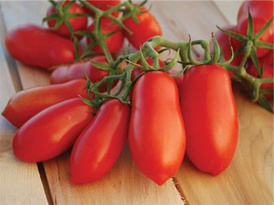domates bamya fotoğraf