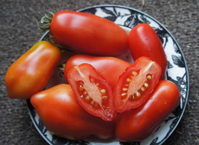 Lady Finger-Tomate