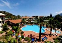 室外游泳池、土耳其：酒店。 特征，评论