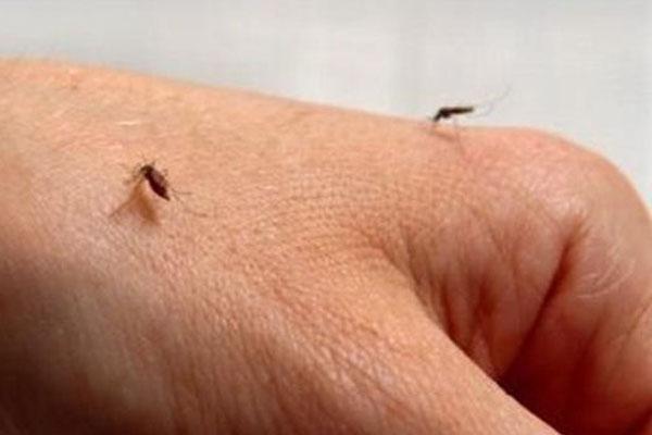 środek na komary dla грудничка