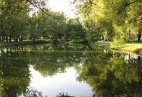 Воронцовские lagoas: o passado e o presente