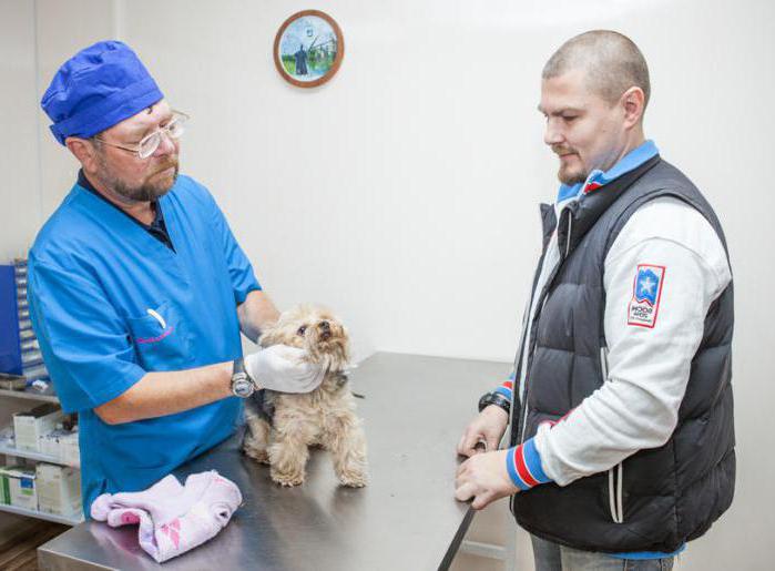 veterinary clinic in Odintsovo public opening hours