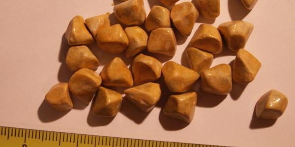 the stones in the liver treatment