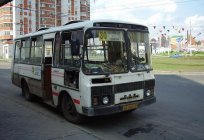 El autobús paz-3205 y su modificación de la paz-32053