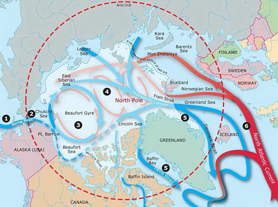 電流の北極海