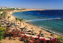 Savita Resort & Spa. Savita Resort & Spa 5* (Egipto Sharm el-Sheikh)