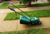 Electric lawn mower Bosch Rotak 32: description, features and reviews
