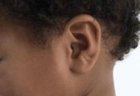 Wie lernt man mit den Ohren wackeln: praktische Tipps