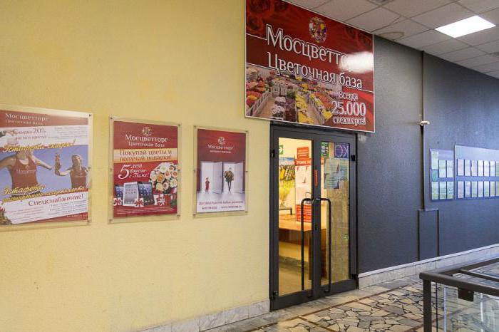 mascotting地址的商店在莫斯科