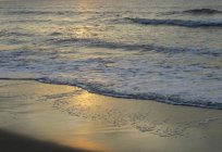 As praias de Adler: visão geral, uma descrição comentários