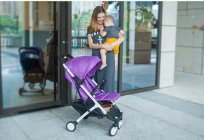 Popular stroller Yoya Plus: reviews, benefits, photos