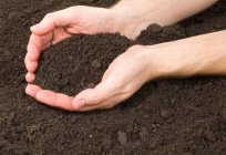 Contamination of human soil and its consequences. Assessment of soil contamination