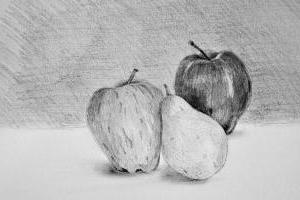 Stillleben Apfel und Birne