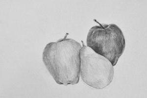 Stillleben Apfel und Birne