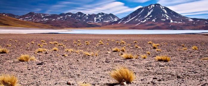 Wüste von Chile
