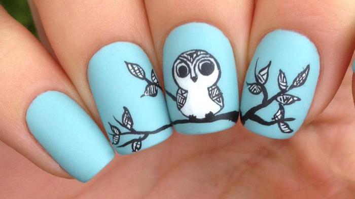 manicure with owls photo