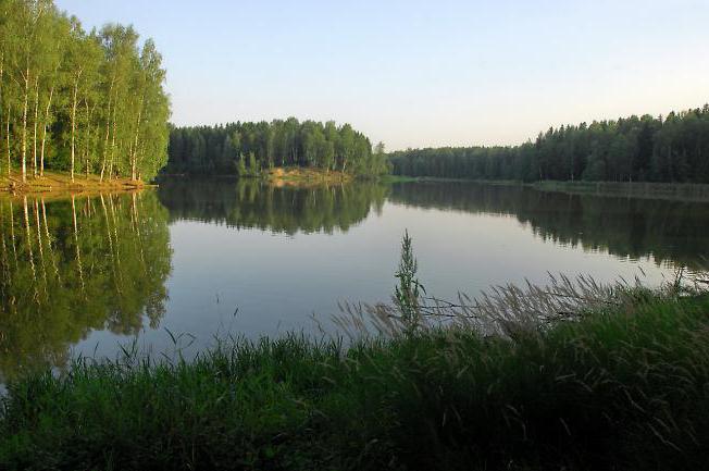 झील वन Sergiev Posad