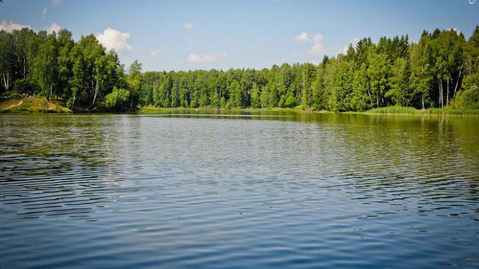 leśne jezioro siergijew posad jak dojechać