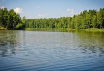 Orman göl Sergiyev Posad: balık avlama, plaj tatili, nasıl gidilir