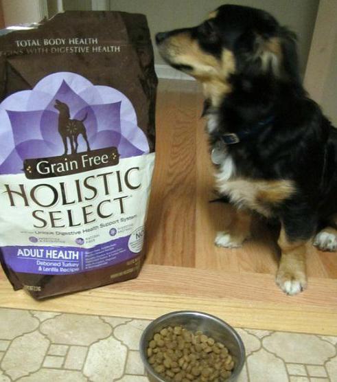 dog food super premium holistic