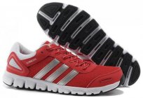 Zapatillas Adidas Climacool — calzado deportivo, que trae la diversión