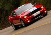 Ford Mustang feature positive