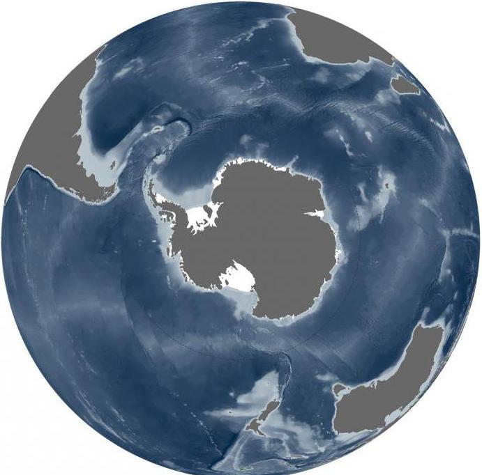 ¿dónde está el ártico y la antártida