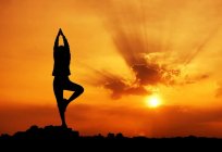 Yoga-Kurse für Anfänger zu Hause