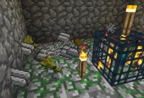 Minecraft: privat-territorio. Cómo arreglar la malla privata?