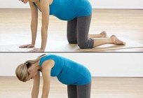 Useful gymnastics for pregnant women (1 trimester). What kind of gymnastics can pregnant women do?