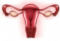 Bimanual investigación en ginecología: indicaciones, características de la realización del procedimiento