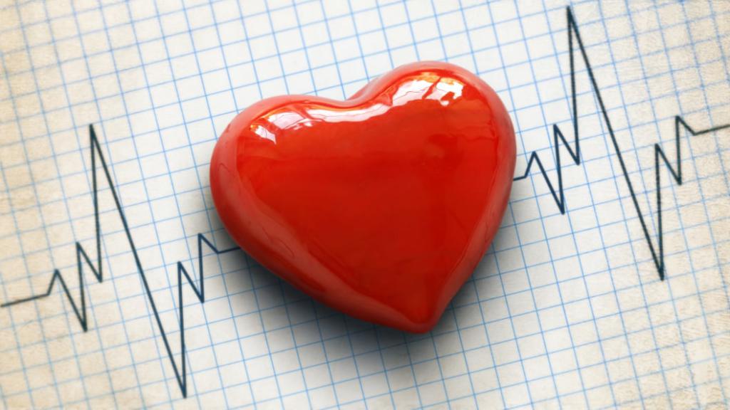 cardiograma e o coração