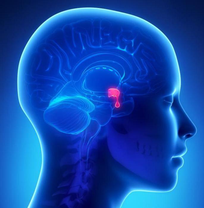 disease associated with dysfunction of the pituitary