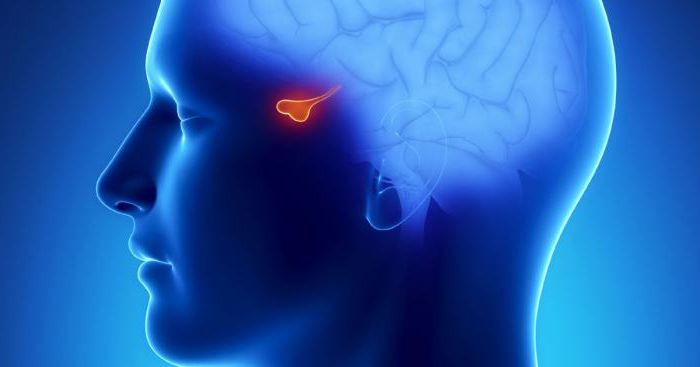 diseases associated with pituitary gland