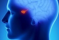 Disease of the pituitary gland: diseases, symptoms