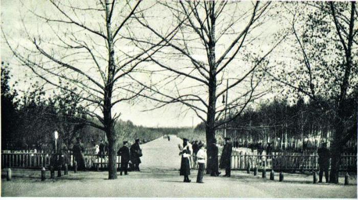 Central Park of culture and rest named after Gorky