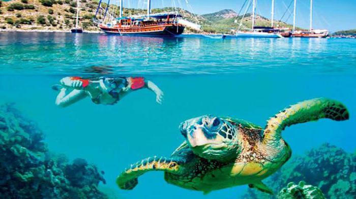 diving in Turkey