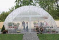 How to choose polycarbonate for greenhouses? The use of polycarbonate