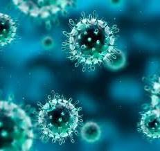 flu viruses and SARS