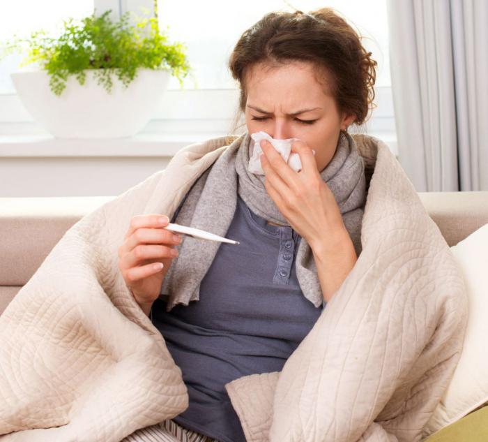 die Symptome der Grippe und orvi