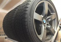 Los neumáticos de invierno Dunlop Graspic DS3: reseñas de propietarios