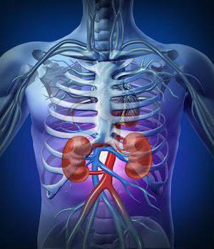 Angiomyolipoma kidney symptoms causes treatment