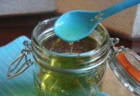 Mint syrup: the main application and the recipe at home